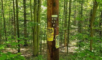 1905 Camp Munn Rd, Bradford, VT 05033