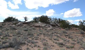 32 N8544 398, Concho, AZ 85924