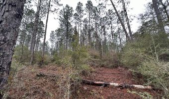 Tract # 6418 S Mattox Springs Road S1, Caryville, FL 32427