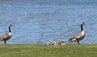 1205 Partridge Point Rd, Alpena, MI 49707