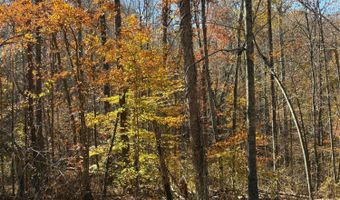 9- D Richmond Hwy, Amherst, VA 24521