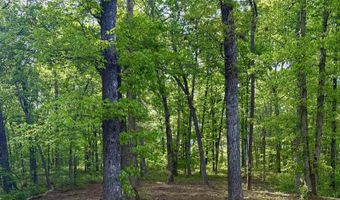 631 Shahan Ln, Birchwood, TN 37308
