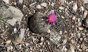 109 Of Twin Fawn Ln, Ash Fork, AZ 86320