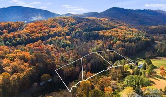 49 Willow Creek Dr, Asheville, NC 28803