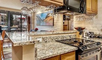 313 VINE St 313, Aspen, CO 81611