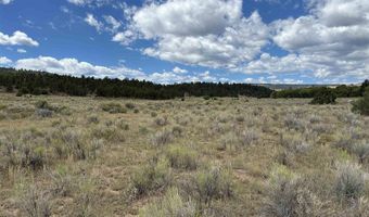 TBD Conejos River Trails, Antonito, CO 81120