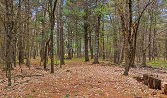 1716 Westwind Trl Lot 95, Arkdale, WI 54613
