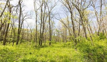 TBD 194th Avenue, Argyle, IA 52619