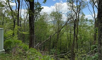 19 Wakeman Way, Banner Elk, NC 28604