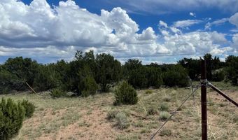 00 TBD, Concho, AZ 85924