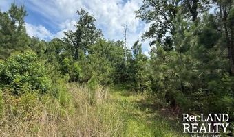 Cooper Lake Road, Bastrop, LA 71220
