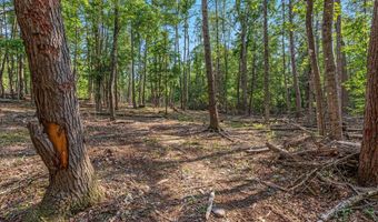 417 MALLARD Dr, Basye, VA 22810