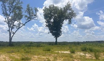 0 CR-215, Ariton, AL 36311
