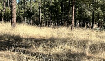 Lot C County Road N2147, Alpine, AZ 85920