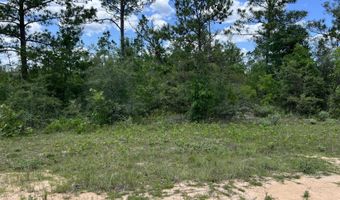 Lot 6 Cleveland Drive, Alford, FL 32420