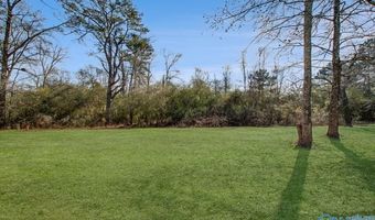 233 Carlin St, Albertville, AL 35951