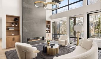 323 E Reds Rd, Aspen, CO 81611