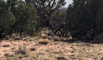 Tbd WICKED SISTERS, Concho, AZ 85924