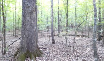 590 247 Country Rd, Bruce, MS 38915