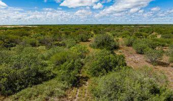 County Road 119, Alice, TX 78332