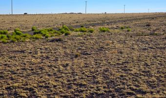 CR 5074 lot 4, Concho, AZ 85924
