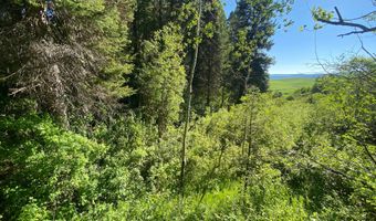 400 GROVER DRY FARM Rd, Afton, WY 83110