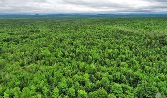 823 US RT 1, Amity, ME 04471