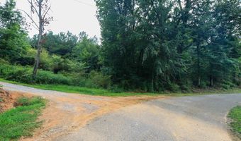 WINSLOW AVENUE lot 5.12 Ac, Anniston, AL 36206