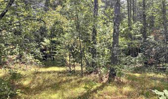 NH Route 3, Bridgewater, NH 03222