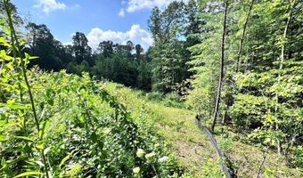 3 Winter Hawk Dr 1, Arden, NC 28704