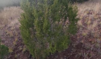1 COUNTY ROAD N8155, Concho, AZ 85924