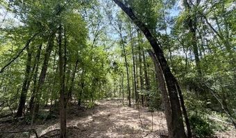 SE Lee Drive, Bogue Chitto, MS 39629