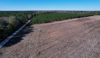 53 86 Acres-TBD Pate Rd, Bishopville, SC 29010