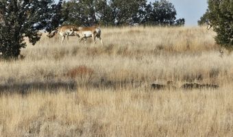 N Picacho Butte Drive, Ash Fork, AZ 86320