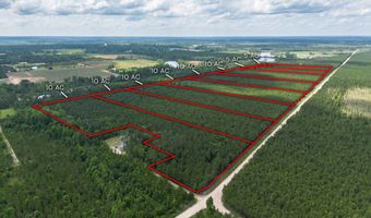 Tract 10 Sanderling, Alma, GA 31510