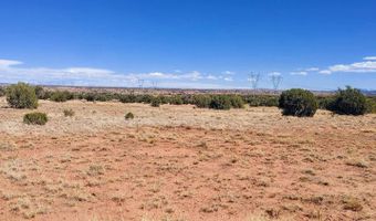 Lot 44 Ranch Of The White Mountains N9119, Concho, AZ 85924