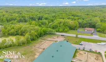 270 N Rochester, Addison Twp., MI 48367