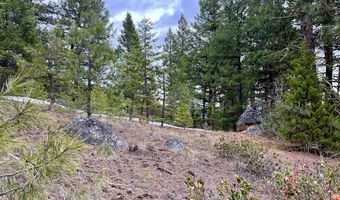 Tbd Hilltop Road 43 & 44, Cascade, ID 83611