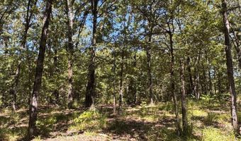 Saddle Creek Ct. lot 19, Alba, TX 75410