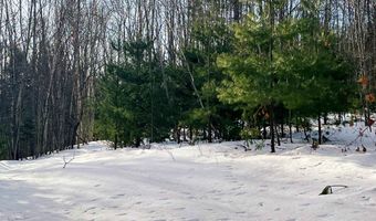 0 Duck Pond Rd, Barton, VT 05822