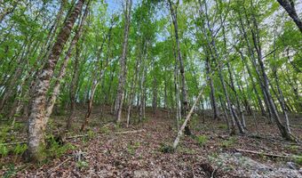 4622 Parker Loop Rd, Birchwood, TN 37308