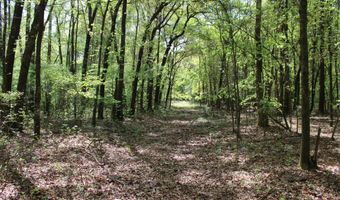 Ruffner Road 00, Barnesville, GA 30204