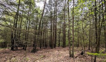 Stewart Road, Addison, NY 14801