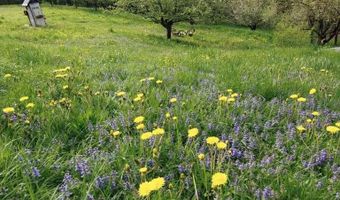 1312 Macintosh Hill Rd, Bethel, VT 05060