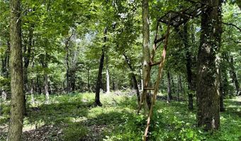 TBD Wilderness WY, Anderson, MO 64831