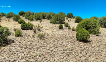 00 N Hilltop Trl Lot D2, Chino Valley, AZ 86323
