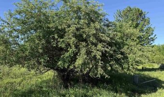 EAU CLAIRE RIVER ROAD lot 3, Aniwa, WI 54408