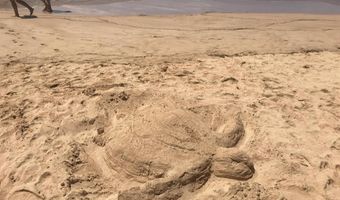 160 KEONEKAI Rd 1-103, Kihei, HI 96753