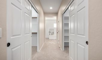 3922 E VIRGO Pl, Chandler, AZ 85249