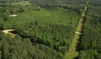 Co Rd 2337, Bay Springs, MS 39422